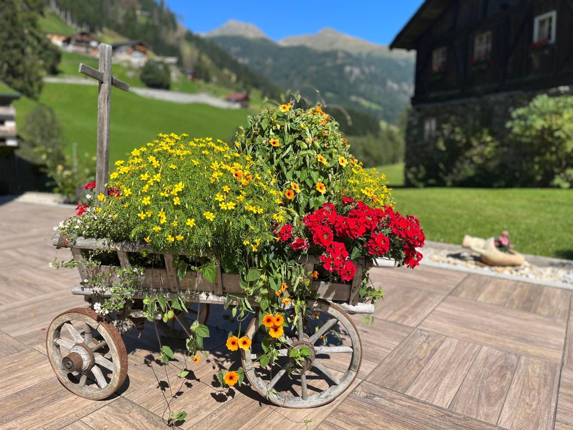 Hotel Garni Gruenmoos Sankt Jakob in Defereggen Dış mekan fotoğraf